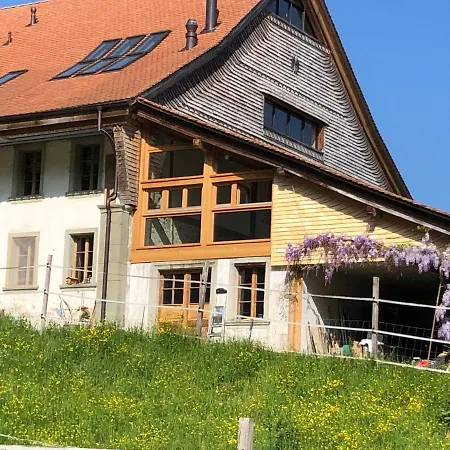 Serenite Et Nature Dans Une Ferme Equestre Massonnens Exterior photo