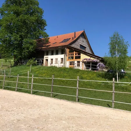 Serenite Et Nature Dans Une Ferme Equestre Massonnens Exterior photo