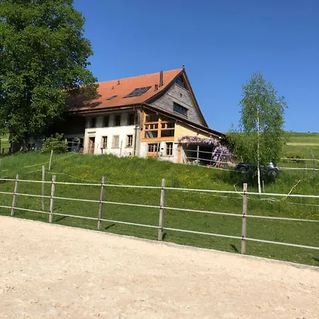 Serenite Et Nature Dans Une Ferme Equestre Massonnens Exterior photo