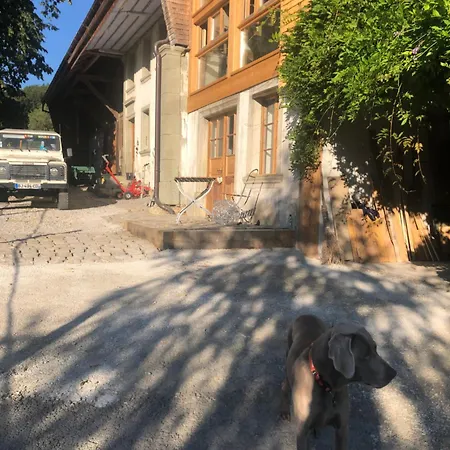 Serenite Et Nature Dans Une Ferme Equestre Massonnens Exterior photo