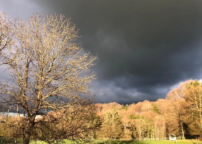 Serenite Et Nature Dans Une Ferme Equestre