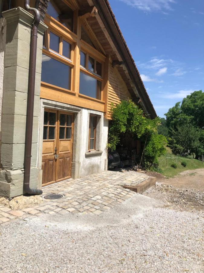 Serenite Et Nature Dans Ferme Equestre * Massonnens