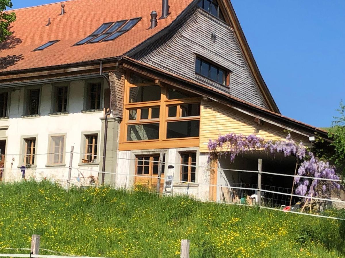 Serenite Et Nature Dans Ferme Equestre *