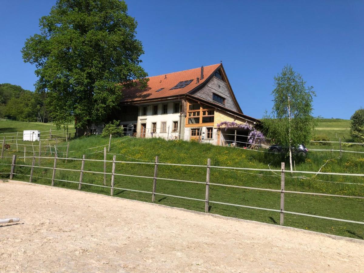 Serenite Et Nature Dans Ferme Equestre