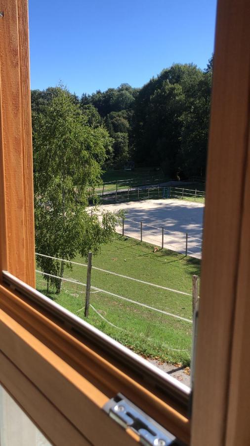Serenite Et Nature Dans Ferme Equestre *