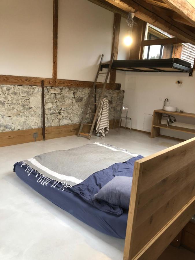Serenite Et Nature Dans Ferme Equestre *