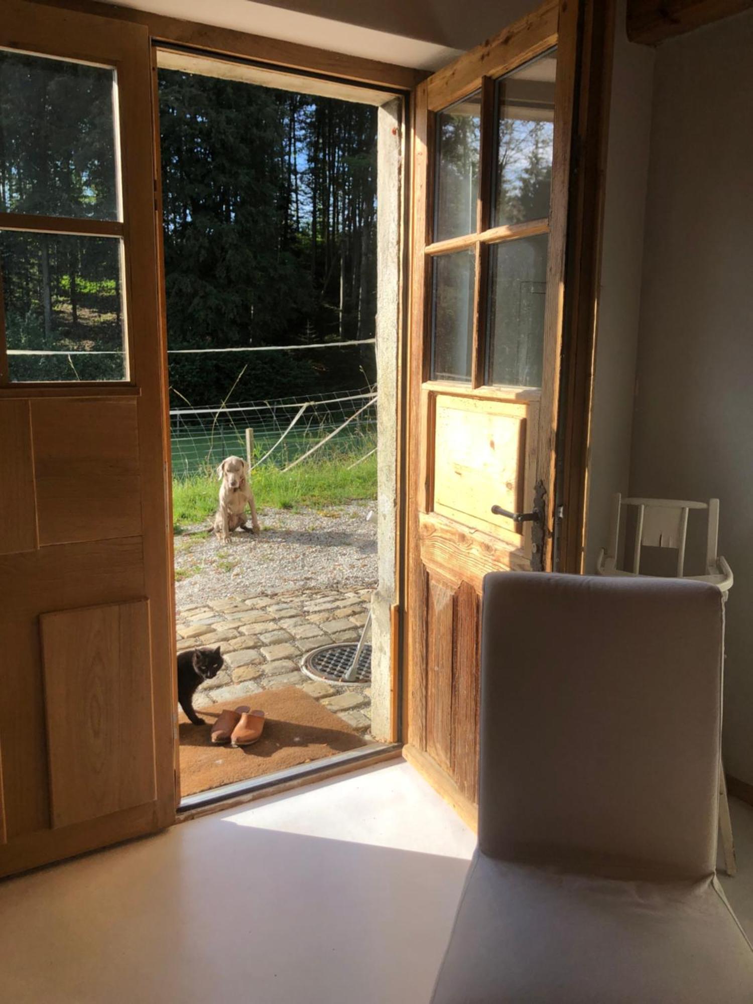 Serenite Et Nature Dans Ferme Equestre Massonnens