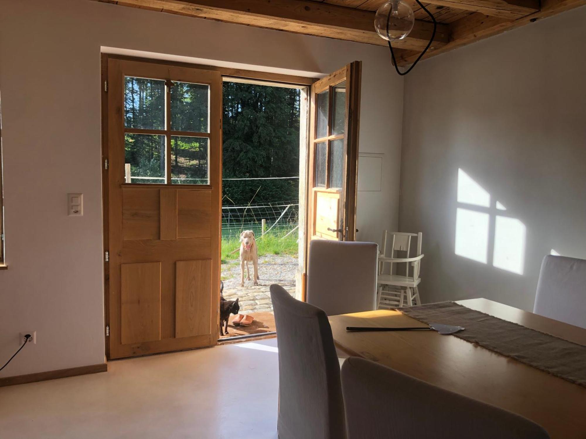 Farm stay Serenite Et Nature Dans Ferme Equestre Massonnens