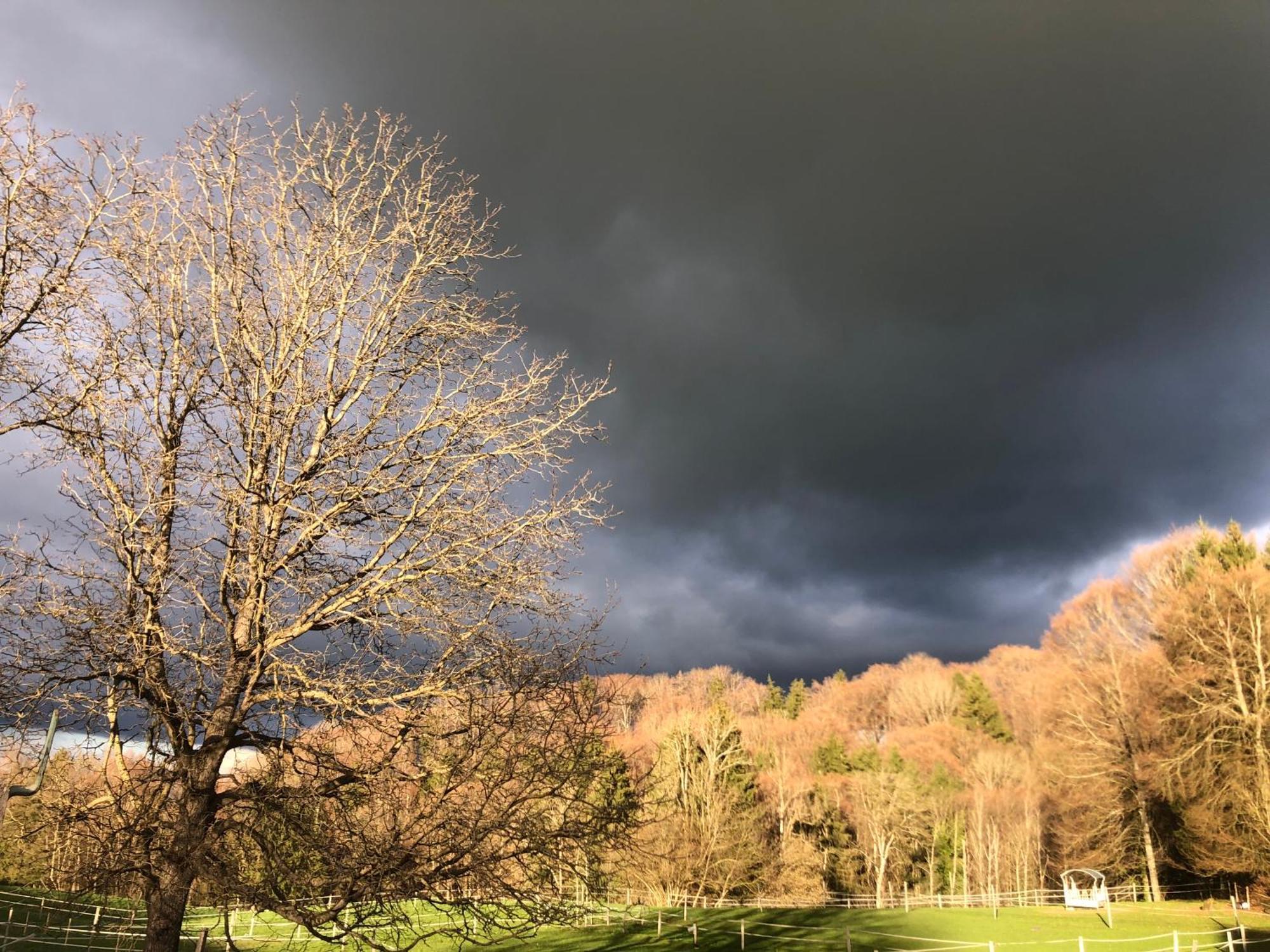 Serenite Et Nature Dans Ferme Equestre