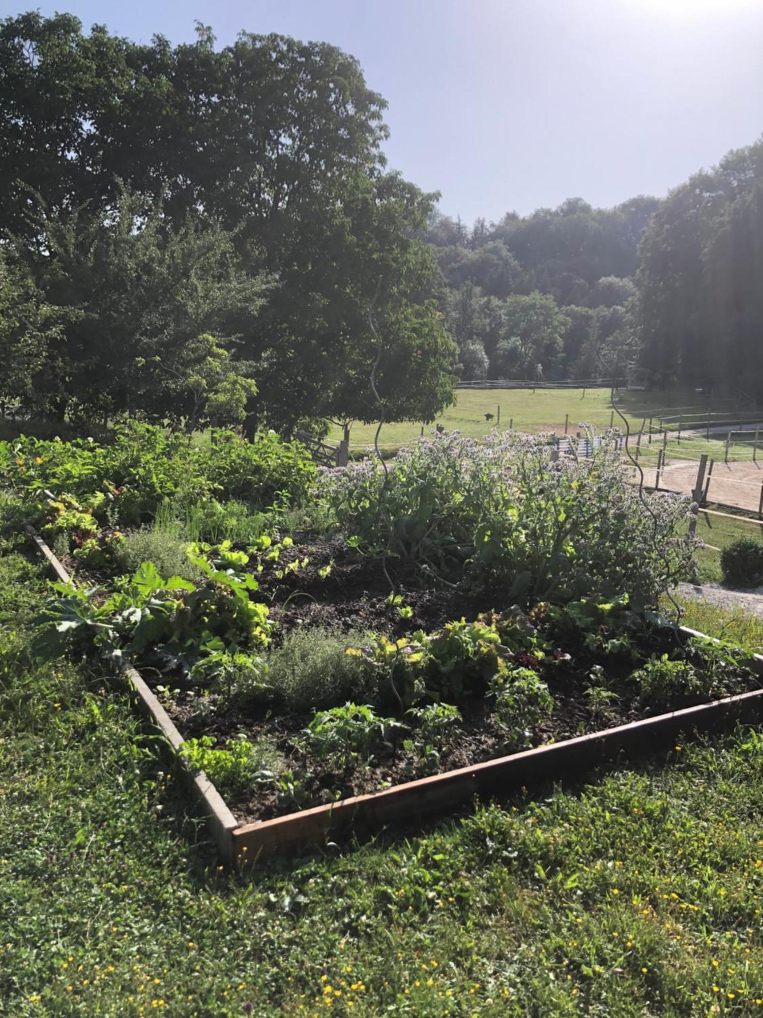Farm stay Serenite Et Nature Dans Ferme Equestre *