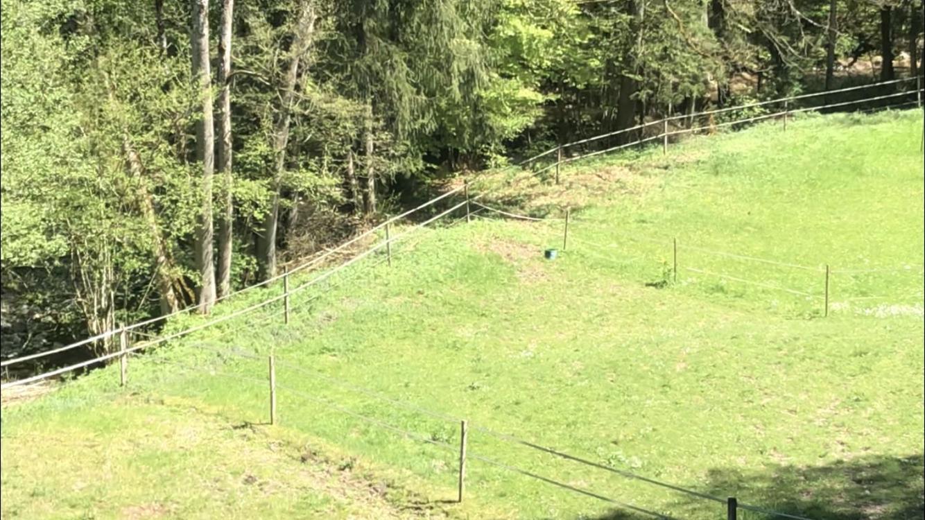 Serenite Et Nature Dans Ferme Equestre * Massonnens