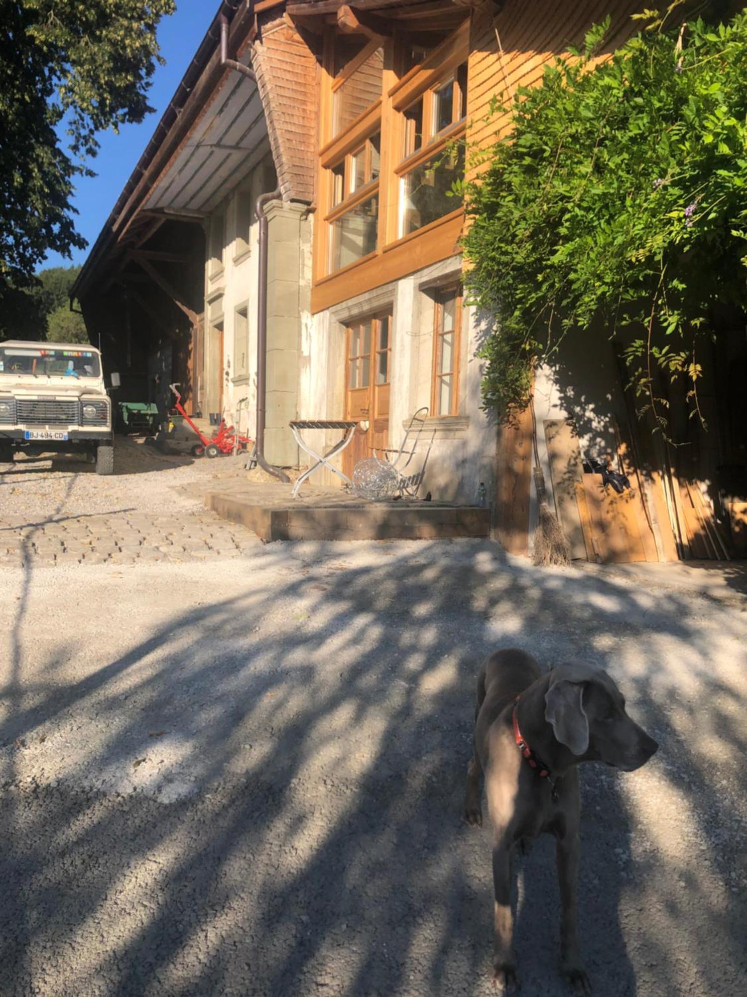 Serenite Et Nature Dans Ferme Equestre - Familial Bauernhof